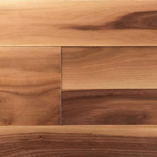 Finium